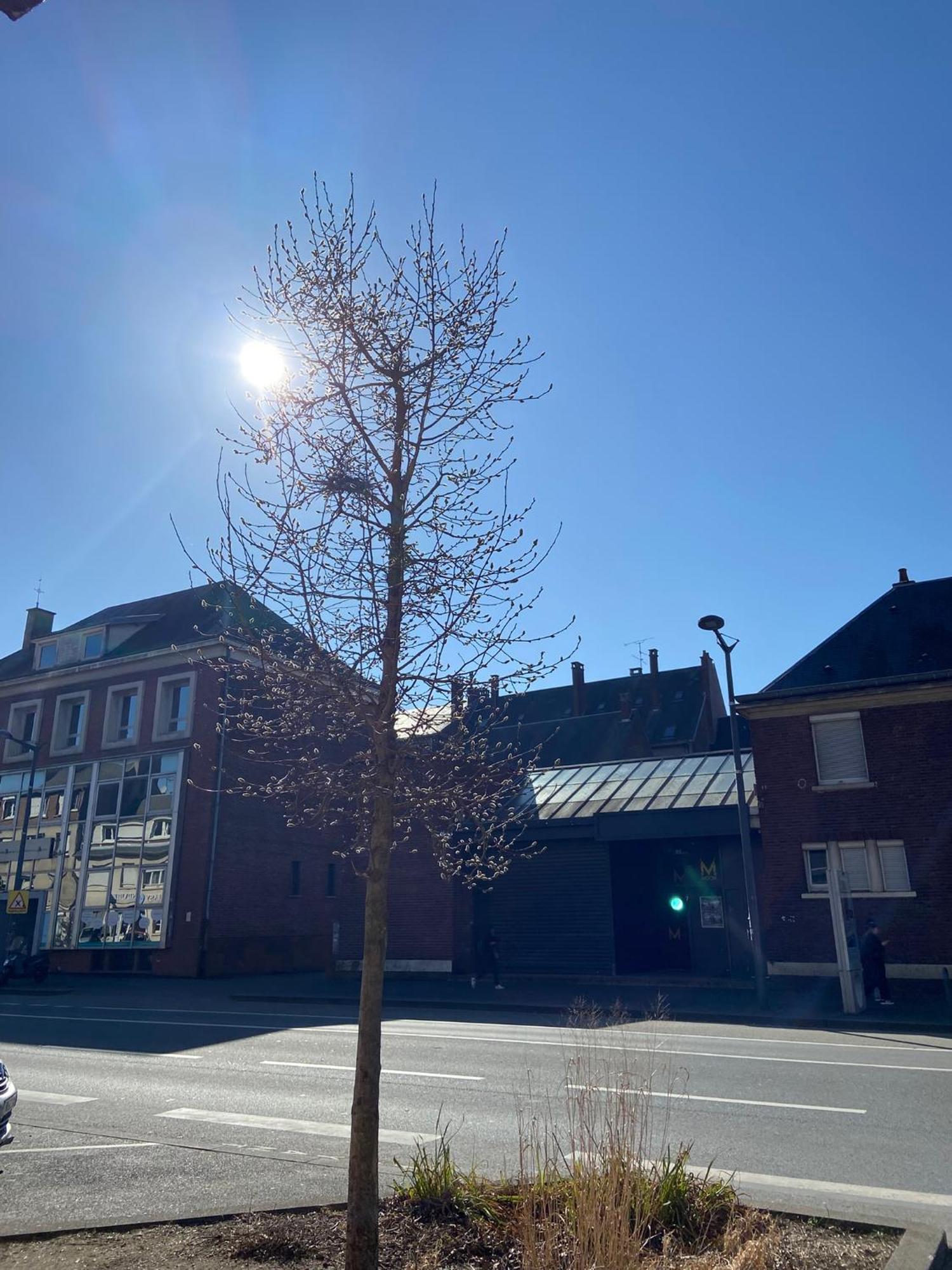 2 Chambres Hyper Centre Avec Place De Parking Et Wifi Amiens Kültér fotó